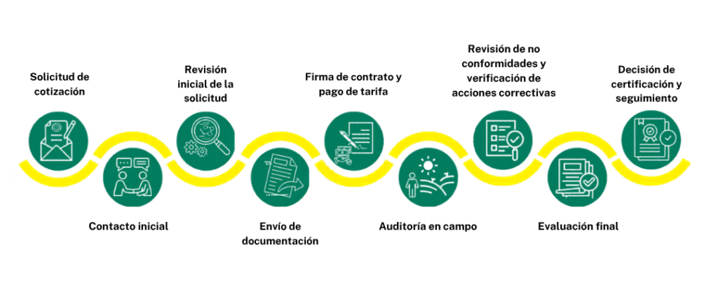 Revisión inicial de la solicitud